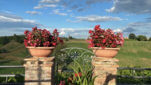 Hills near Castelvetro (MO) - July 2025